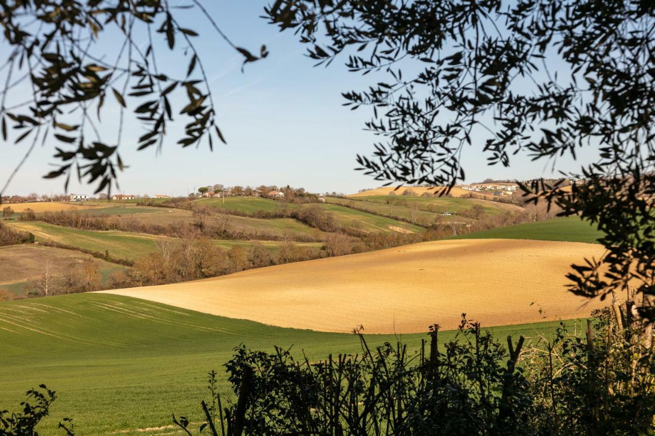 Villa Peyrigué Seysses-Saves Esterno foto